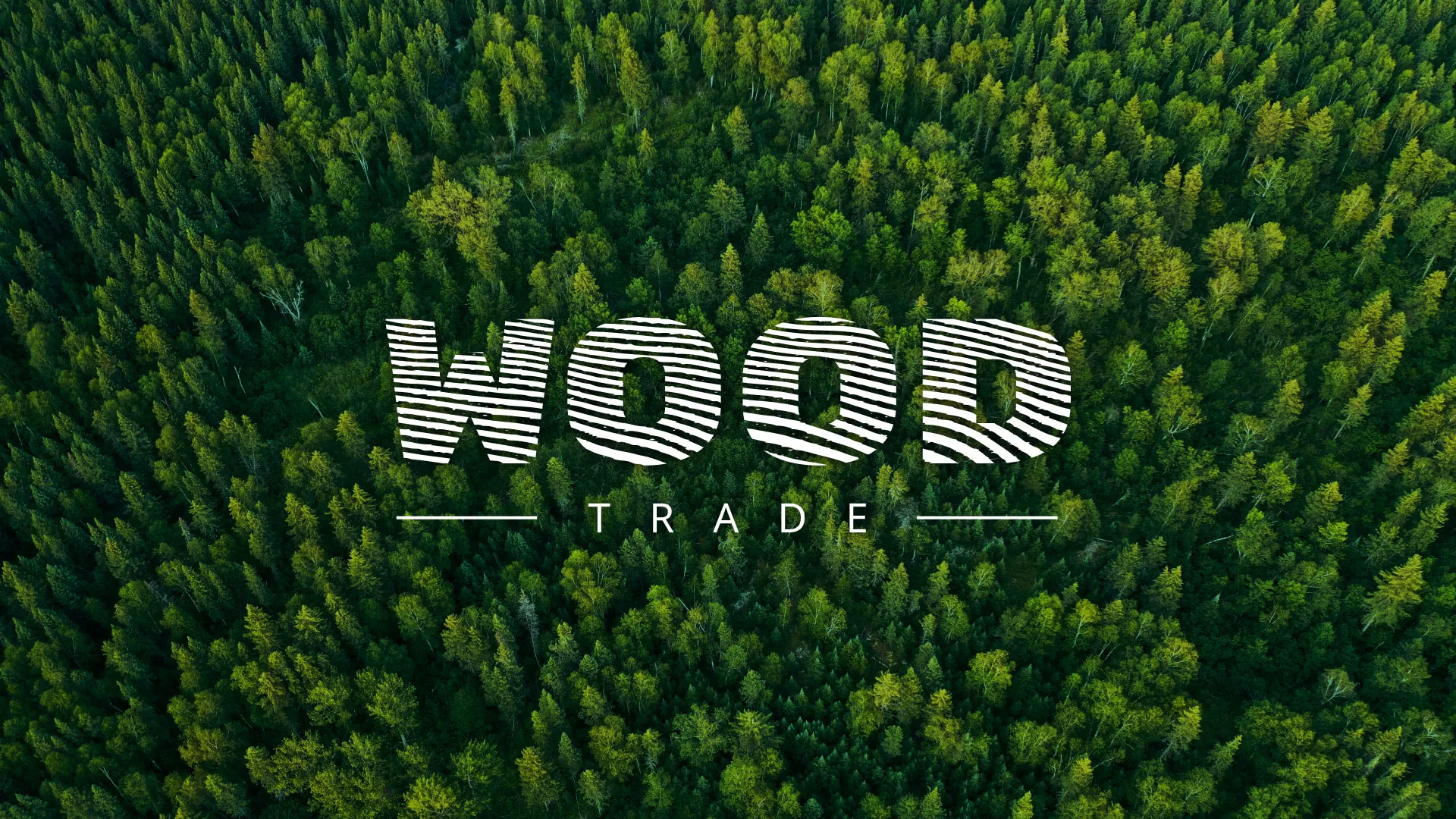Разработка интернет-магазина компании «Wood Trade» в Балахне